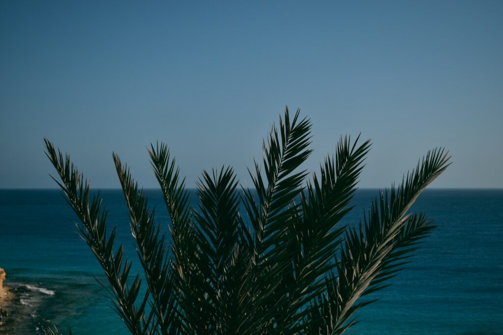 Marsa Matrouh from the hills at sunset